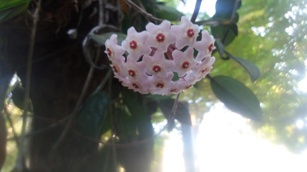 Villa Ali ウナワトゥナ エクステリア 写真